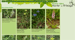 Desktop Screenshot of herbario.ian-ani.org